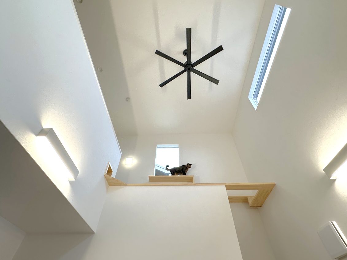 LDKに吹き抜けがあることでより一層開放的な空間に♪<br />
窓からの採光を確保することで一日中明るいお家になります。<br />
キャットウォークもあり、猫ちゃんも大喜び！